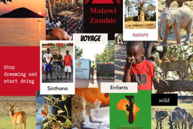 5CHRONICITE - Voyage solidaire avec l'Association Apprendre et Vivre en Afrique Australe