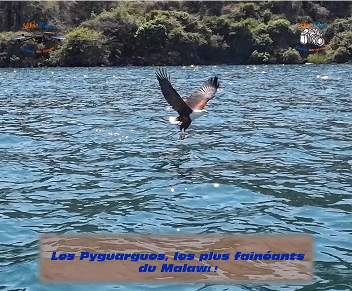 5CHROVISION - MALAWI - LES PYGUARGUES 2023