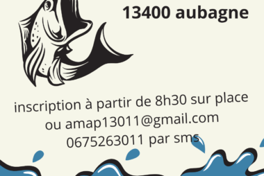 5CHRONICITE - AMAP13 Safari Pécheur Mai 2025 - Image fournie par AMAP13 Source image de macrovector sur Freepik